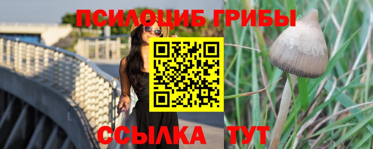 Псилоцибиновые грибы Magic Shrooms Ликино-Дулёво